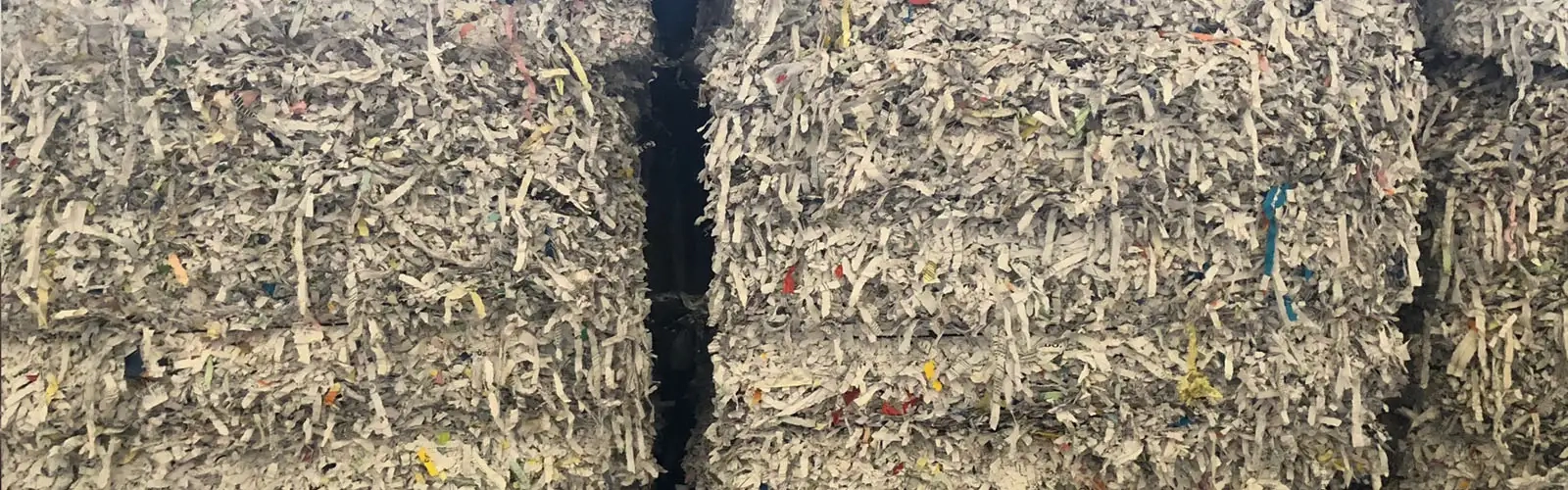 Paper Shredding